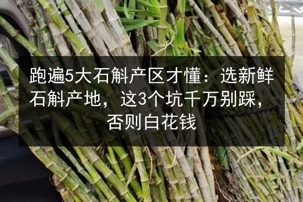 跑遍5大石斛产区才懂:选新鲜石斛产地,这3个坑千万别踩,否则白花钱