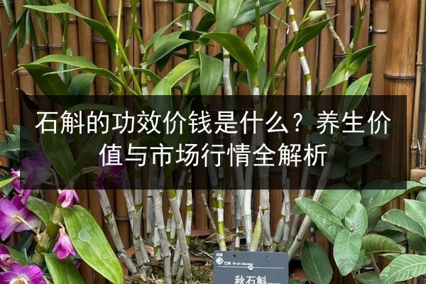 石斛的功效价钱是什么?养生价值与市场行情全解析