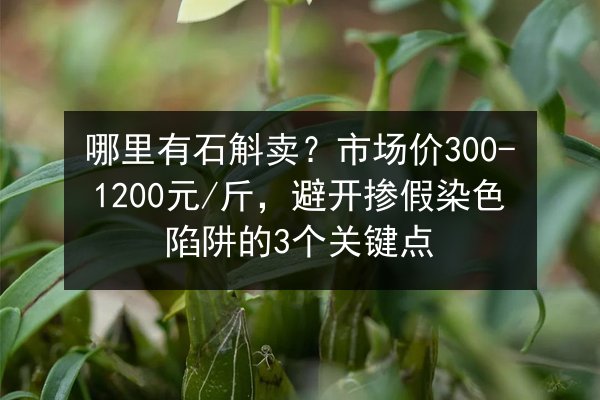 哪里有石斛卖？市场价300-1200元/斤，避开掺假染色陷阱的3个关键点