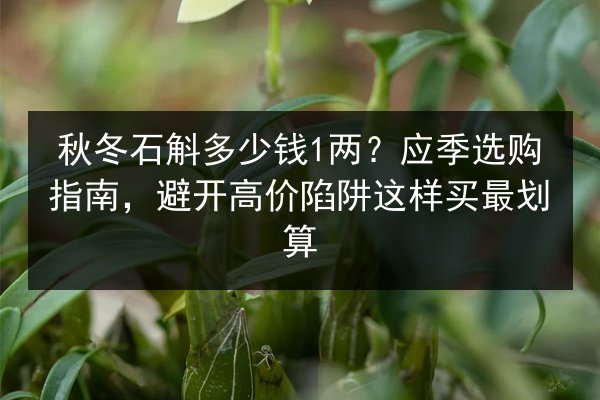 秋冬石斛多少钱1两？应季选购指南，避开高价陷阱这样买最划算
