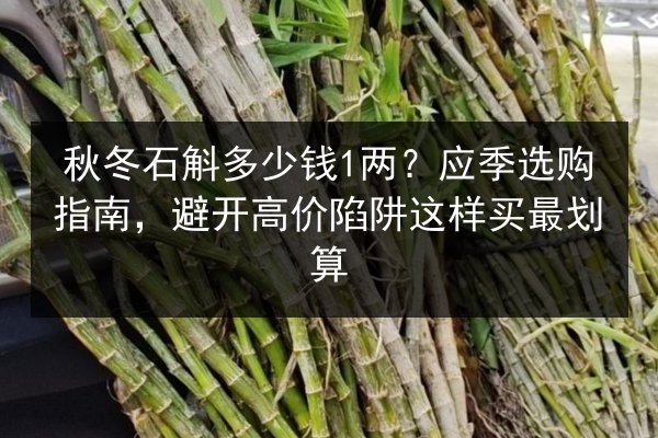 秋冬石斛多少钱1两？应季选购指南，避开高价陷阱这样买最划算