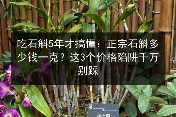 吃石斛5年才搞懂:正宗石斛多少钱一克?这3个价格陷阱千万别踩