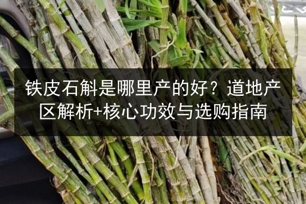 铁皮石斛是哪里产的好？道地产区解析+核心功效与选购指南