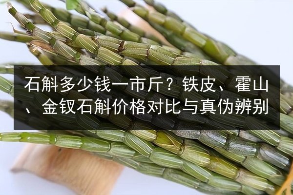 石斛多少钱一市斤?铁皮、霍山、金钗石斛价格对比与真伪辨别