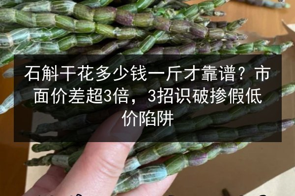 石斛干花多少钱一斤才靠谱?市面价差超3倍,3招识破掺假低价陷阱