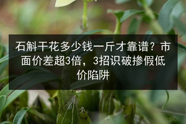 石斛干花多少钱一斤才靠谱?市面价差超3倍,3招识破掺假低价陷阱