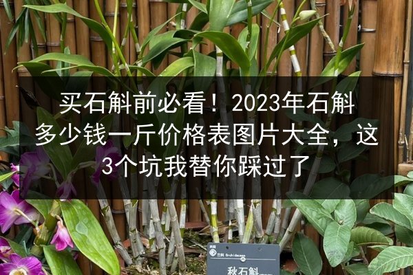 买石斛前必看!2023年石斛多少钱一斤价格表图片大全,这3个坑我替你踩过了
