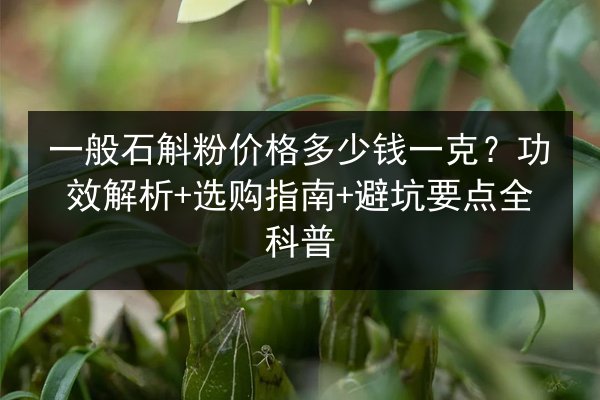 一般石斛粉价格多少钱一克?功效解析+选购指南+避坑要点全科普