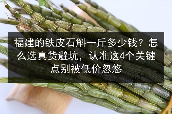 福建的铁皮石斛一斤多少钱？怎么选真货避坑，认准这4个关键点别被低价忽悠