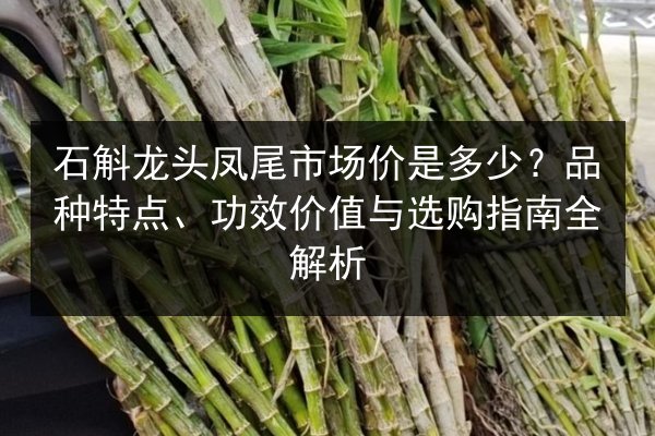 石斛龙头凤尾市场价是多少?品种特点、功效价值与选购指南全解析
