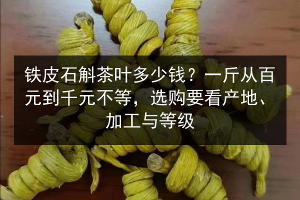 铁皮石斛茶叶多少钱?一斤从百元到千元不等,选购要看产地、加工与等级