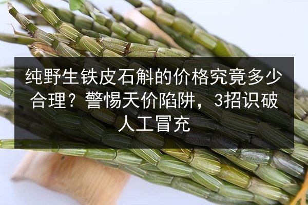 纯野生铁皮石斛的价格究竟多少合理？警惕天价陷阱，3招识破人工冒充