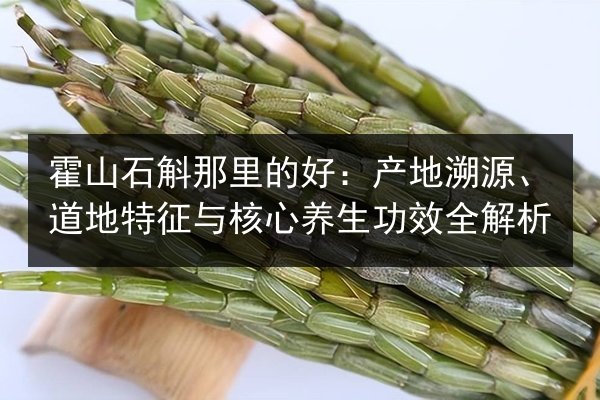 霍山石斛那里的好:产地溯源、道地特征与核心养生功效全解析