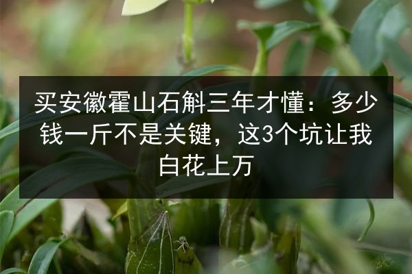 买安徽霍山石斛三年才懂：多少钱一斤不是关键，这3个坑让我白花上万