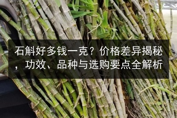 石斛好多钱一克？价格差异揭秘，功效、品种与选购要点全解析