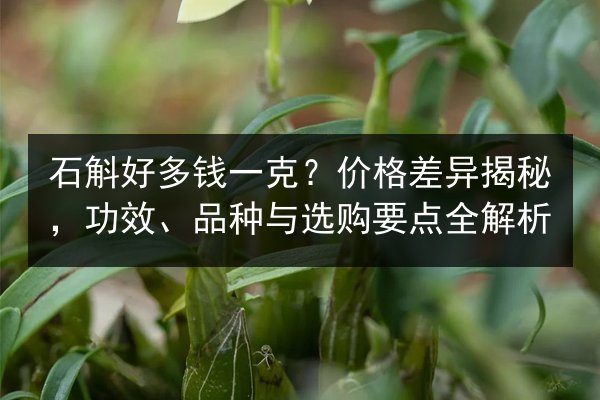 石斛好多钱一克？价格差异揭秘，功效、品种与选购要点全解析