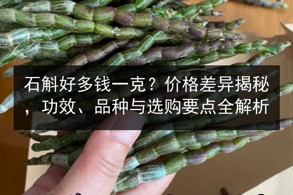 石斛好多钱一克？价格差异揭秘，功效、品种与选购要点全解析
