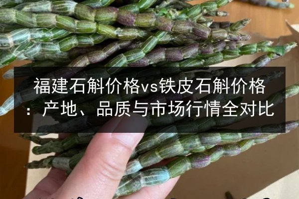 福建石斛价格vs铁皮石斛价格:产地、品质与市场行情全对比