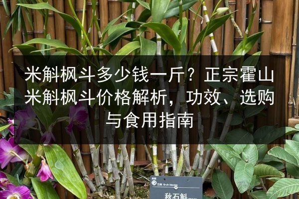 米斛枫斗多少钱一斤?正宗霍山米斛枫斗价格解析,功效、选购与食用指南