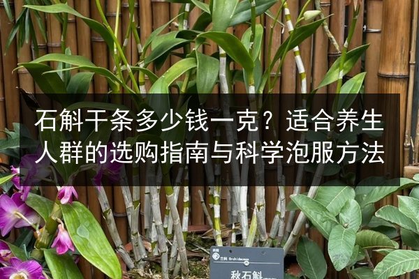 石斛干条多少钱一克?适合养生人群的选购指南与科学泡服方法