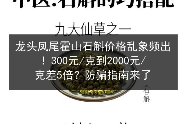 龙头凤尾霍山石斛价格乱象频出!300元/克到2000元/克差5倍?防骗指南来了