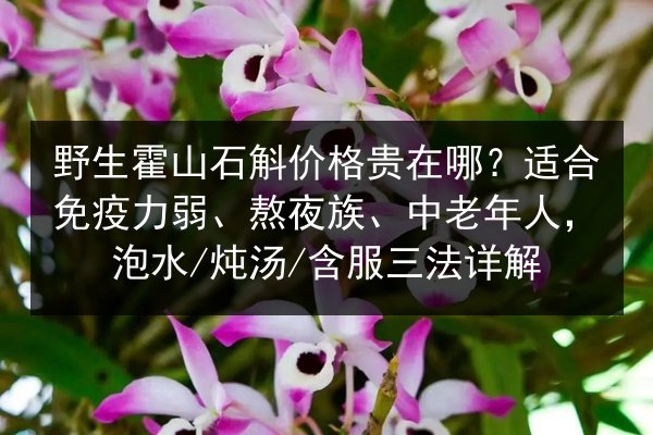野生霍山石斛价格贵在哪?适合免疫力弱、熬夜族、中老年人,泡水/炖汤/含服三法详解