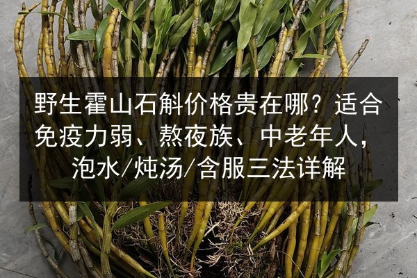 野生霍山石斛价格贵在哪?适合免疫力弱、熬夜族、中老年人,泡水/炖汤/含服三法详解