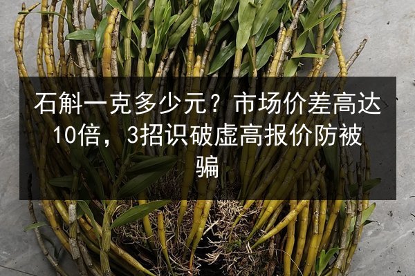 石斛一克多少元?市场价差高达10倍,3招识破虚高报价防被骗