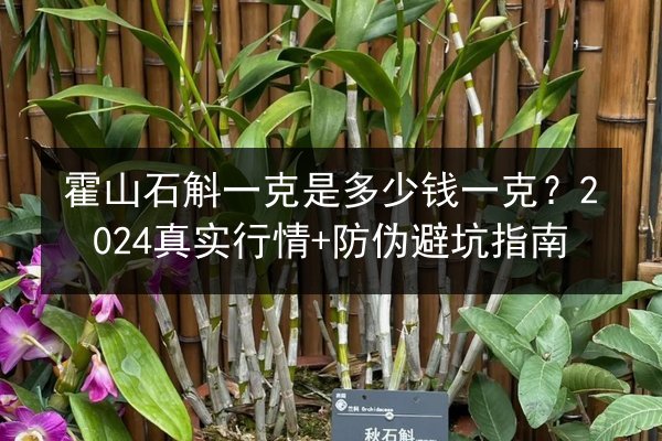 霍山石斛一克是多少钱一克?2024真实行情+防伪避坑指南