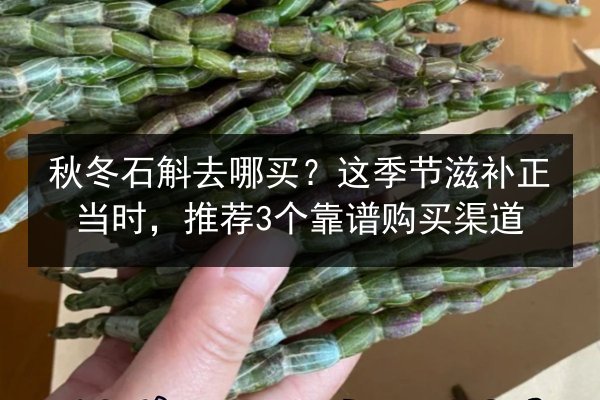 秋冬石斛去哪买？这季节滋补正当时，推荐3个靠谱购买渠道