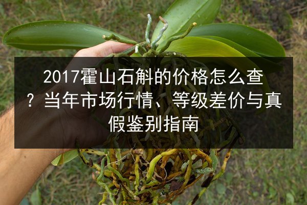 2017霍山石斛的价格怎么查?当年市场行情、等级差价与真假鉴别指南