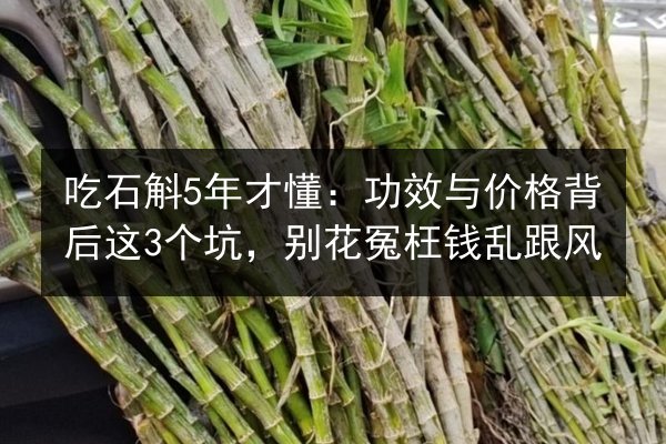 吃石斛5年才懂:功效与价格背后这3个坑,别花冤枉钱乱跟风