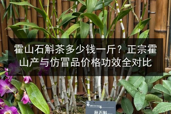 霍山石斛茶多少钱一斤？正宗霍山产与仿冒品价格功效全对比