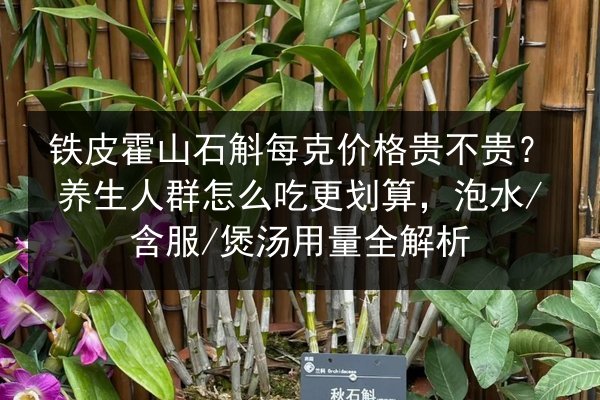 铁皮霍山石斛每克价格贵不贵?养生人群怎么吃更划算,泡水/含服/煲汤用量全解析