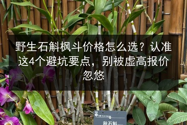 野生石斛枫斗价格怎么选？认准这4个避坑要点，别被虚高报价忽悠